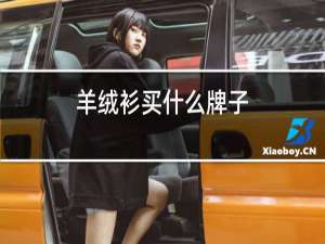 羊绒衫买什么牌子