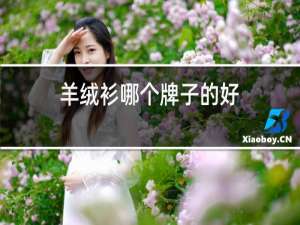 羊绒衫哪个牌子的好