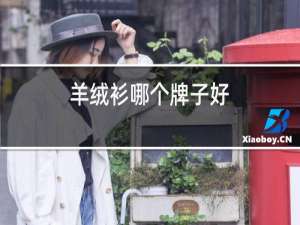 羊绒衫那个牌子好