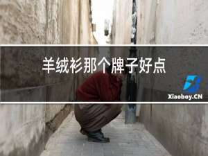 羊绒衫那个牌子好点