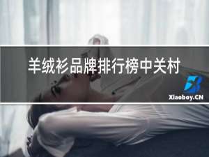 羊绒衫品牌排行榜中关村