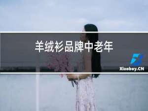 羊绒衫品牌中老年