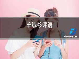 羊绒衫评语