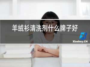 羊绒衫清洗剂什么牌子好