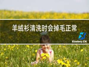 羊绒衫清洗时会掉毛正常吗