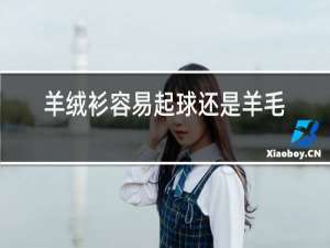 羊绒衫容易起球还是羊毛衫容易起球