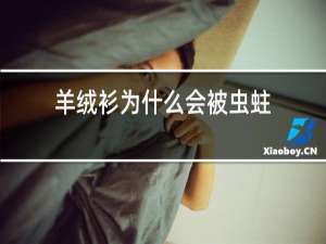 羊绒衫为什么会被虫蛀