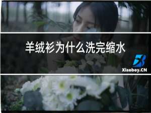 羊绒衫为什么洗完缩水