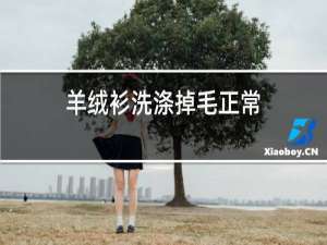 羊绒衫洗涤掉毛正常