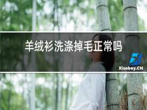 羊绒衫洗涤掉毛正常吗