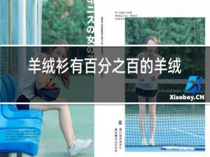 羊绒衫有百分之百的羊绒吗