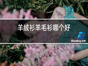羊绒衫羊毛衫哪个好