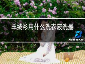 羊绒衫用什么洗衣液洗最好