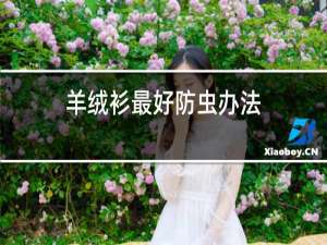 羊绒衫最好防虫办法