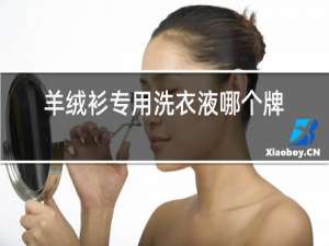 羊绒衫专用洗衣液哪个牌子好