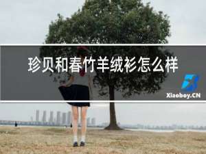 珍贝和春竹羊绒衫怎么样