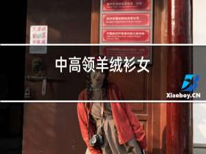 中高领羊绒衫女