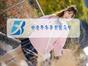 中老年冬季男装马甲
