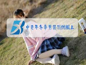 中老年冬季男装羽绒服上衣