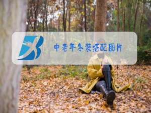 中老年冬装搭配图片
