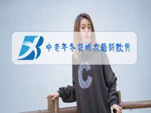中老年冬装棉衣最新款男装