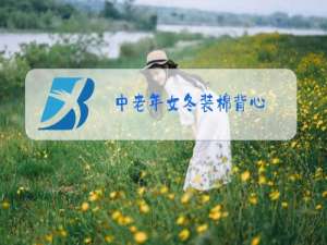 中老年女冬装棉背心