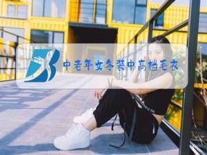 中老年女冬装中高档毛衣两件套
