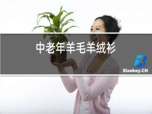 中老年羊毛羊绒衫
