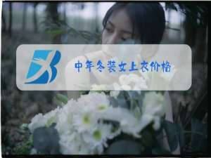 中年冬装女上衣价格