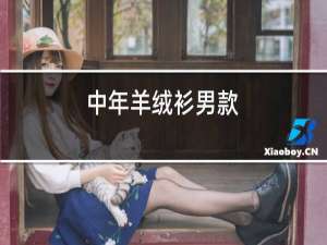 中年羊绒衫男款