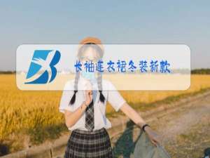 长袖连衣裙冬装新款