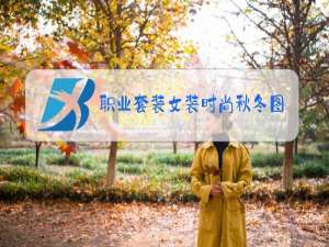 职业套装女装时尚秋冬图片