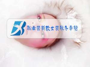职业装新款女装秋冬季裙套装