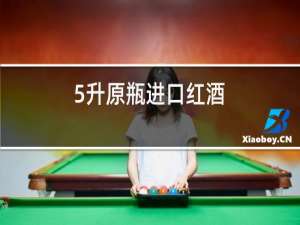 5升原瓶进口红酒