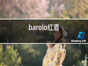 barolo红酒