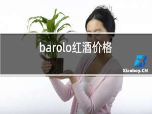 barolo红酒价格