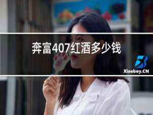 奔富407红酒多少钱