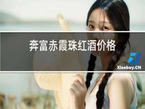 奔富赤霞珠红酒价格
