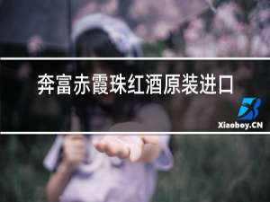 奔富赤霞珠红酒原装进口的扫二维码会有价格吗