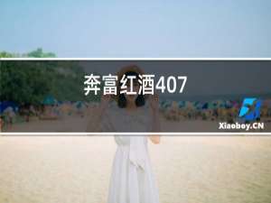 奔富红酒407