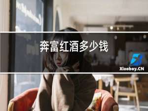 奔富红酒多少钱