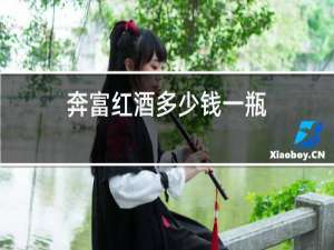 奔富红酒多少钱一瓶