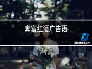 奔富红酒广告语