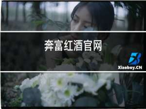 奔富红酒官网