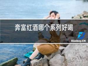 奔富红酒哪个系列好喝