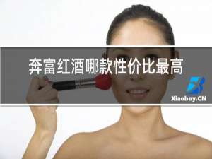 奔富红酒哪款性价比最高