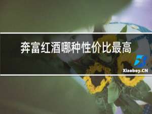 奔富红酒哪种性价比最高