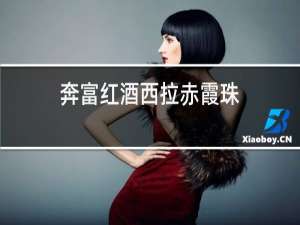 奔富红酒西拉赤霞珠
