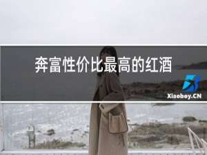 奔富性价比最高的红酒