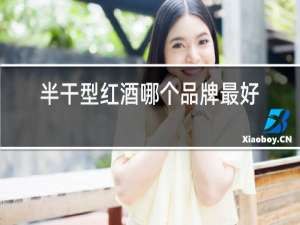 半干型红酒哪个品牌最好